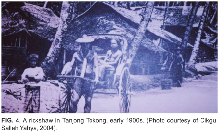 FIG. 4. A rickshaw in Tanjong Tokong, early 1900s. (Photo courtesy of Cikgu Salleh Yahya, 2004).